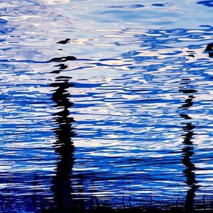 Meet your Posher, Kristina